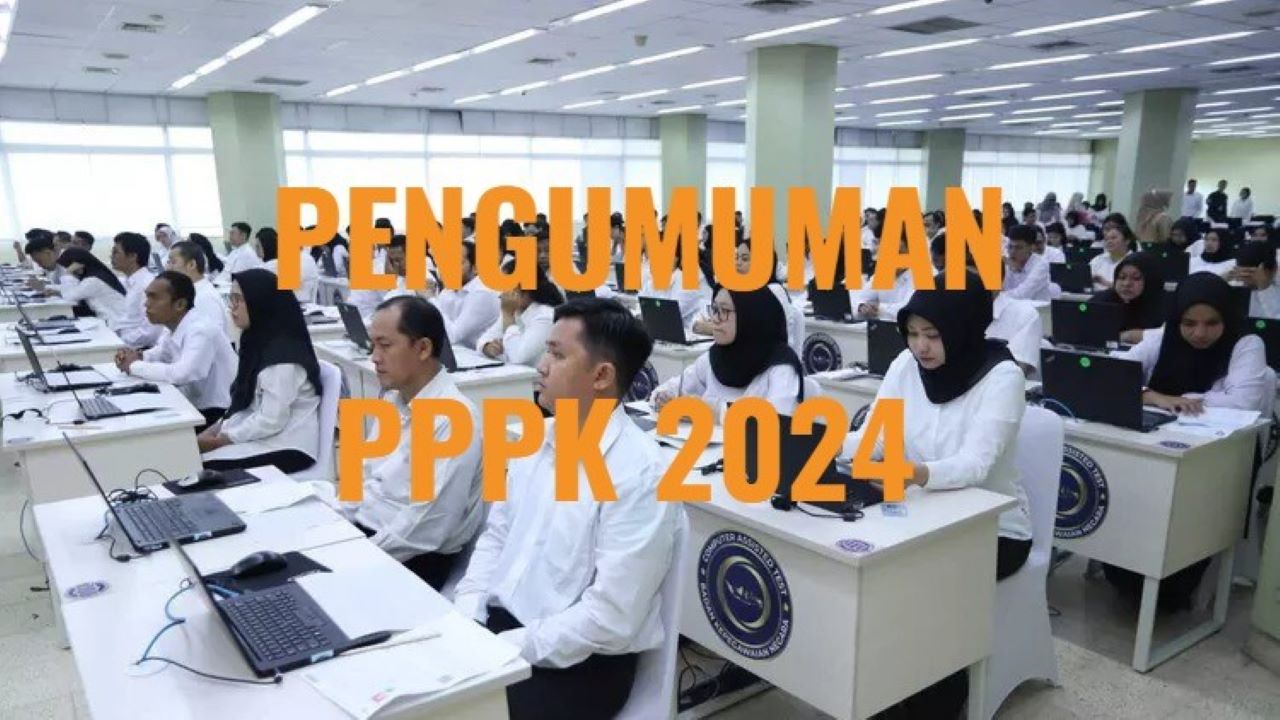 Pengumuman Kelulusan PPPK 2024, Pahami Arti Kode P, PR, L, TL, TMS, TH dan A, Jangan Keliru Ini Maksudnya