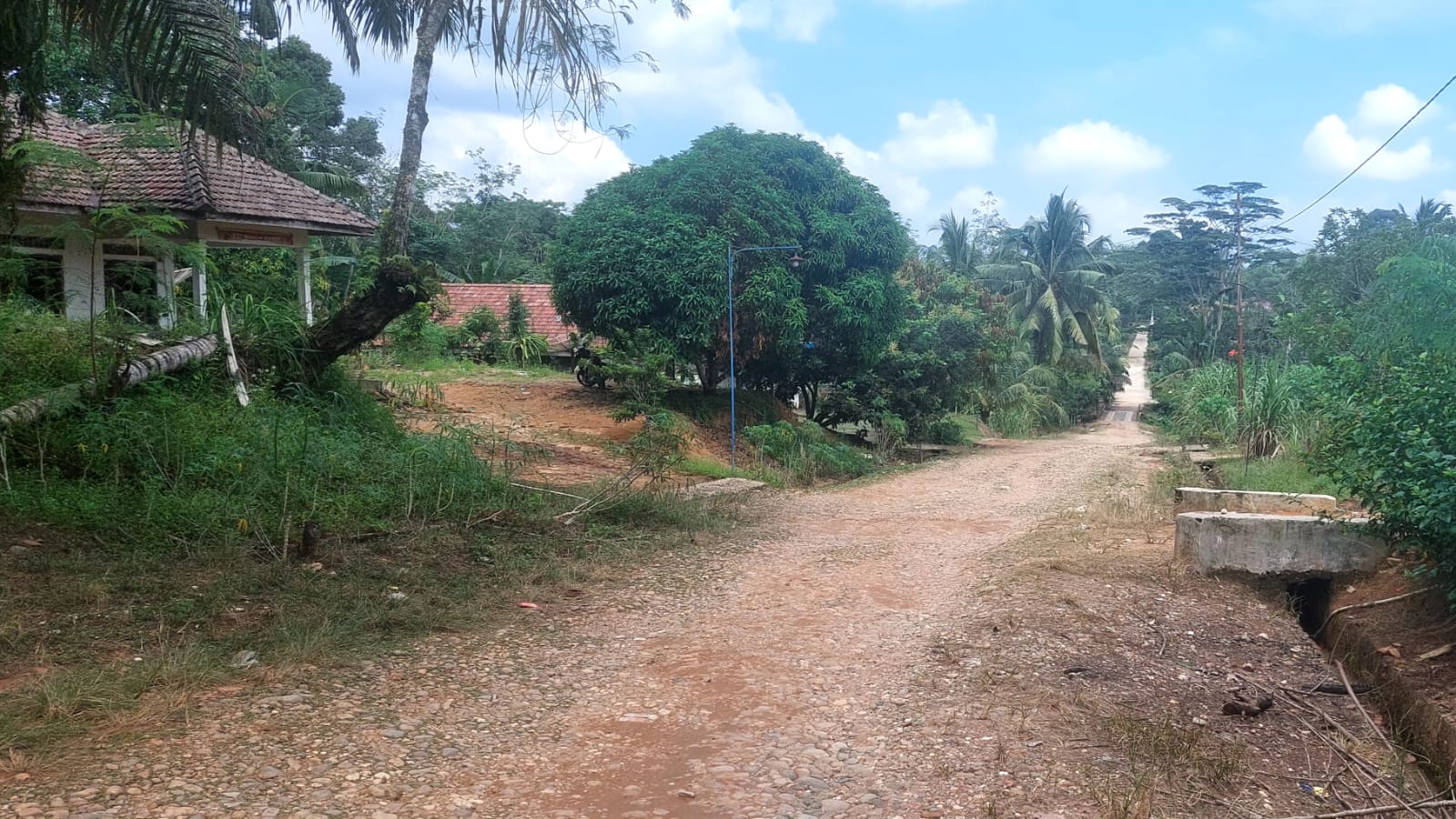 Seperti Dianaktirikan, Bertahun-tahun Jalan Dusun di Muratara Ini Belum Tersentuh Pembangunan