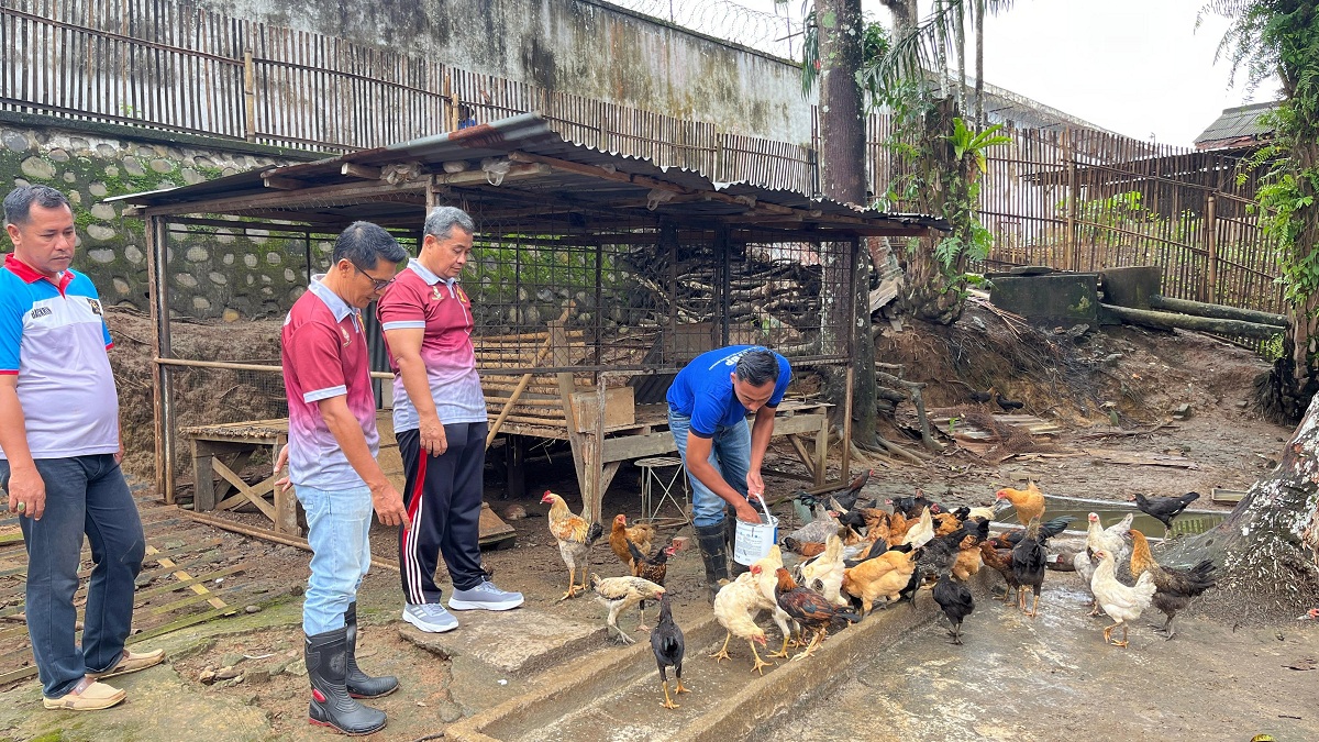 Wujudkan Ketahanan Pangan, Kalapas Lubuk Linggau Kontrol Sarana Asimilasi dan Edukasi