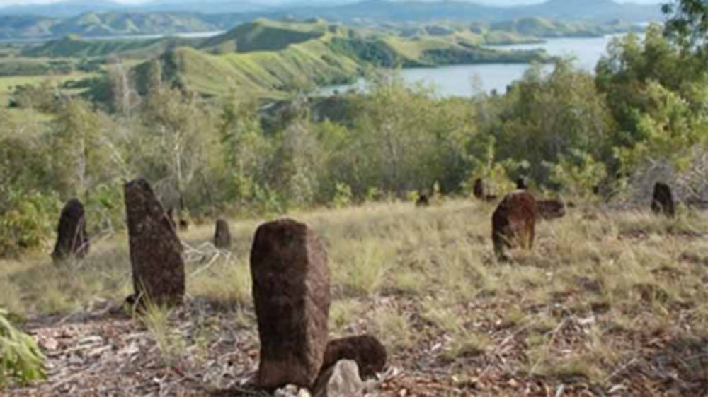 Keunikan Situs Megalitik Tutari, Berada di Atas Bukit, Berikut Asal Usul Namanya 