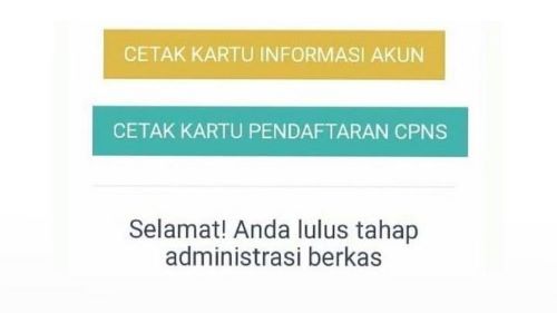 Pengumuman Administrasi CPNS 2024 Mulai Besok, Ini Link dan Cara Cek Hasilnya, Siap-Siap!