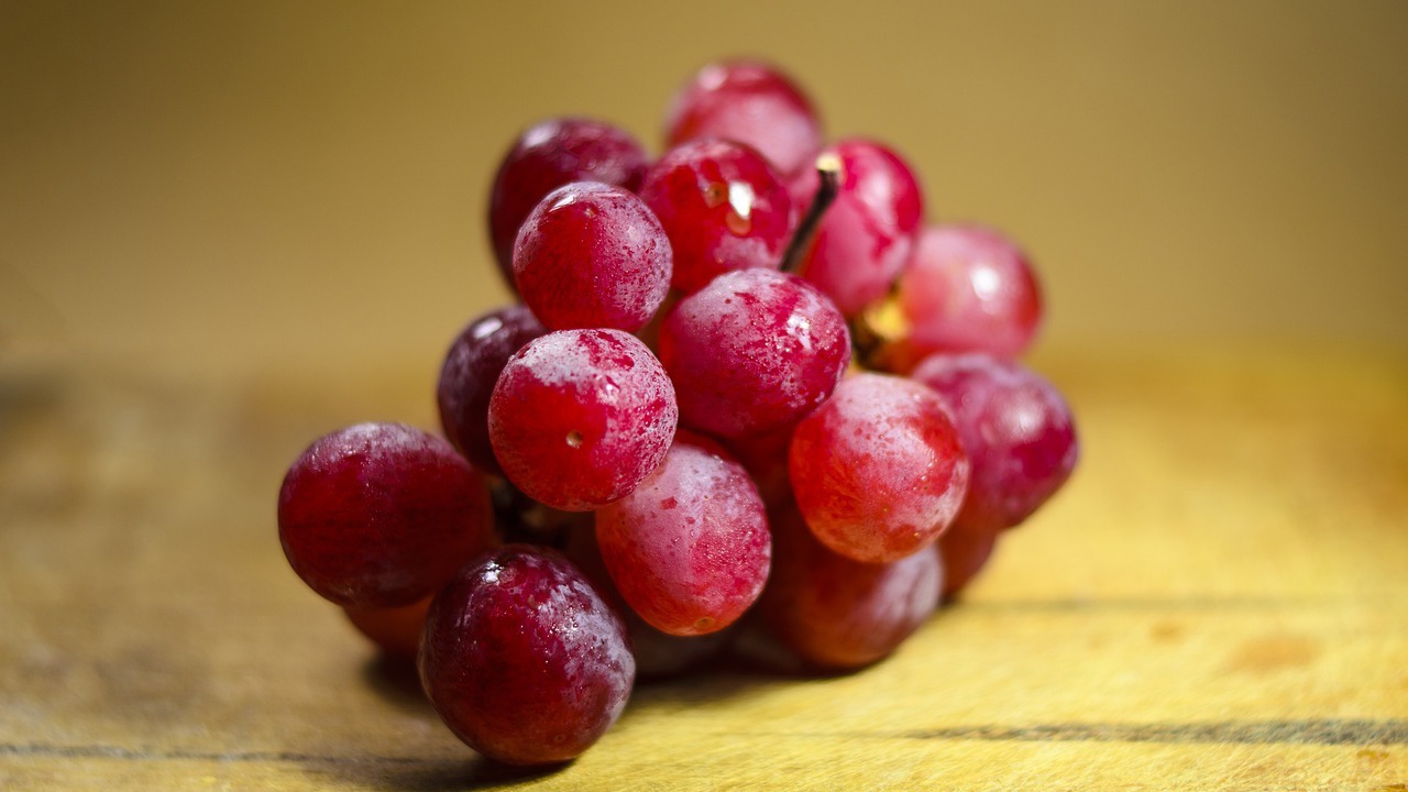 Anggur Memiliki Banyak Manfaat untuk Kesehatan, ini 5 Cara Budidayanya Agar Cepat Berbuah