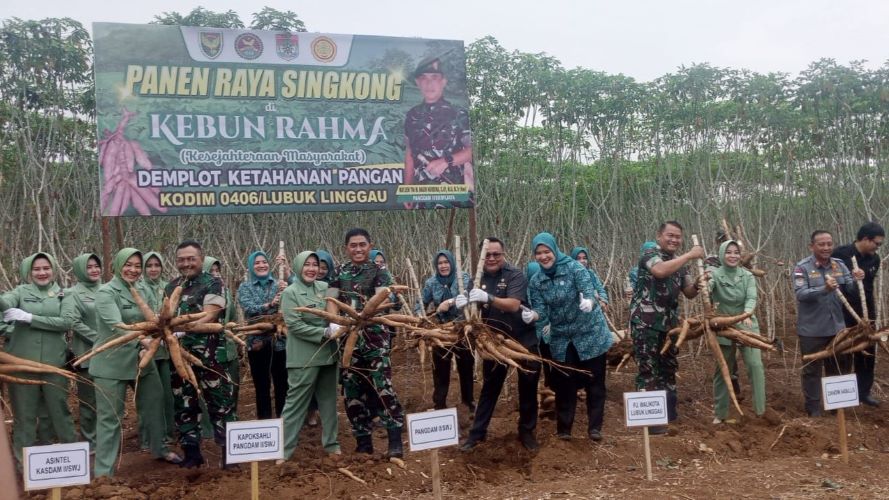 Pangdam II Sriwijaya Panen Singkong Garuda di Lubuk Linggau