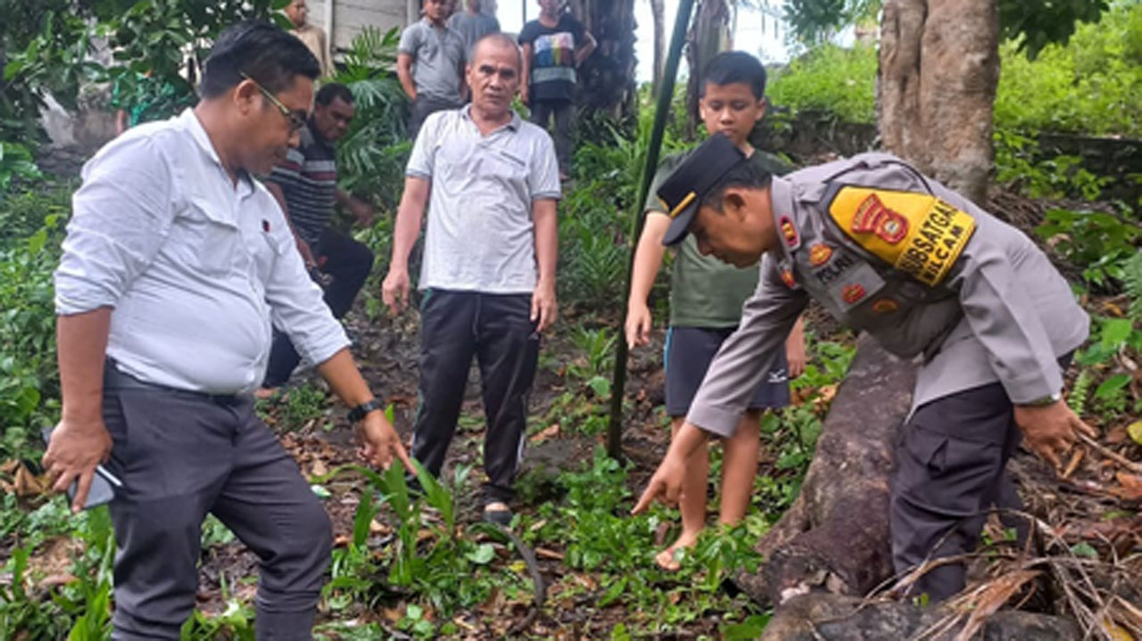 Kakek 72 Tahun di Musi Rawas Jatuh dari Pohon Duren, Saat Ditemukan Begini Kondisinya