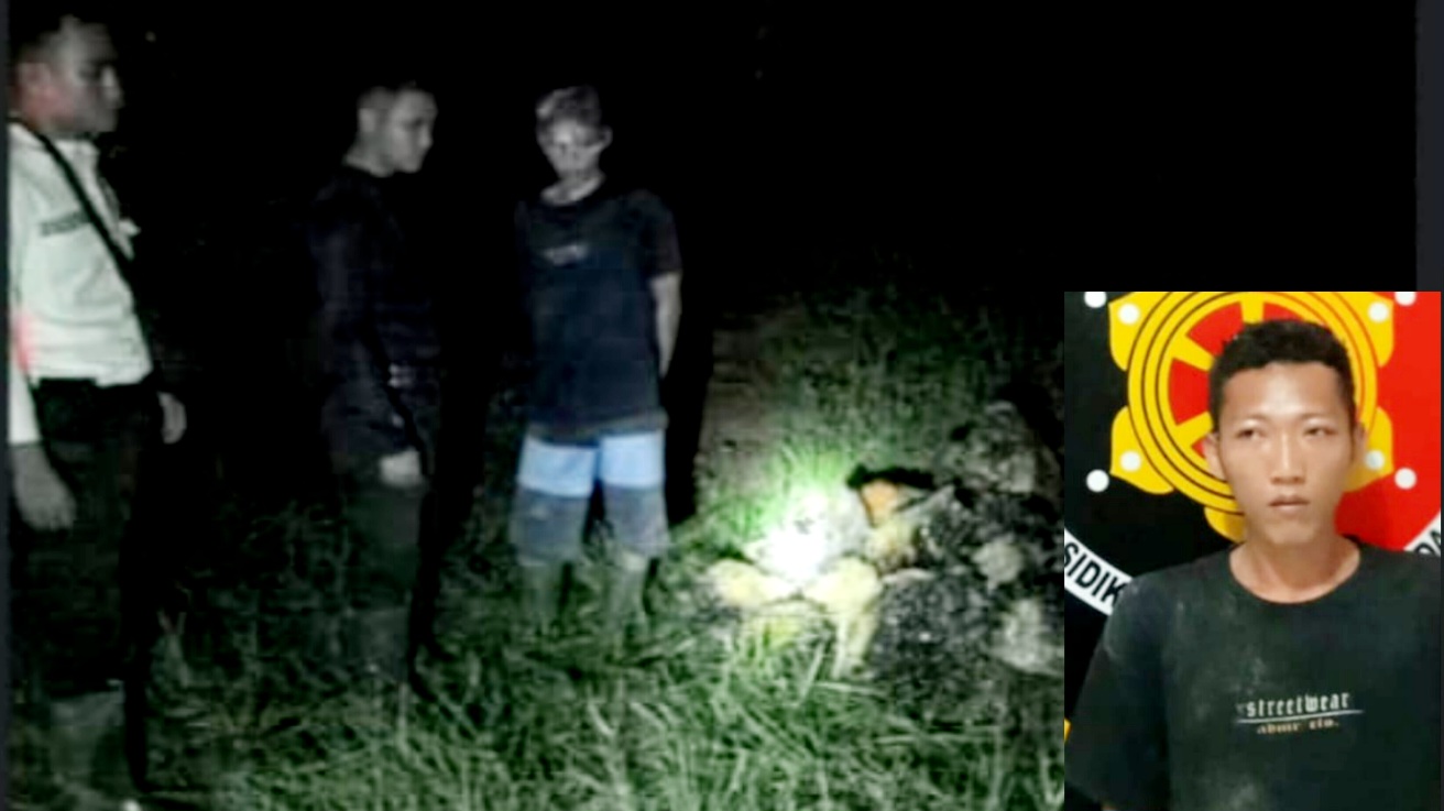 Tengah Malam 3 Orang Berbuat Dosa di Kebun Sawit PT AKL Musi Rawas, 1 Diamankan, 2 Kabur