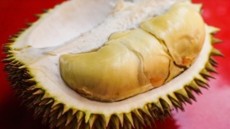 Bolehkah Setiap Hari Makan Durian, Cari Tahu Jawabannya di Sini