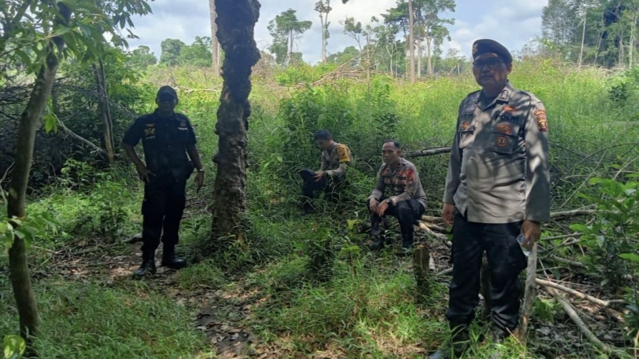 Sudah 3 Warga Diserang Beruang, BKSDA Pasang Perangkap di Ciptodadi Musi Rawas