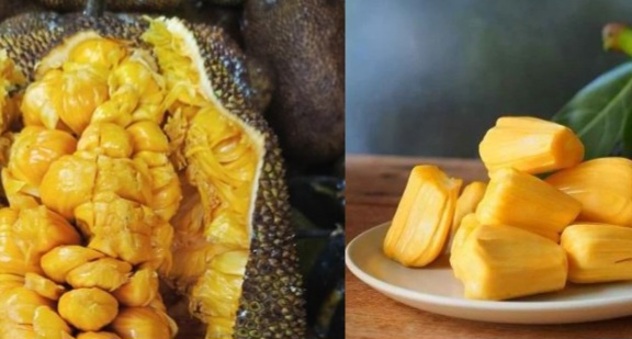 Serupa Tapi Tak Sama, Ini Perbedaan Antara Cempedak dan Nangka