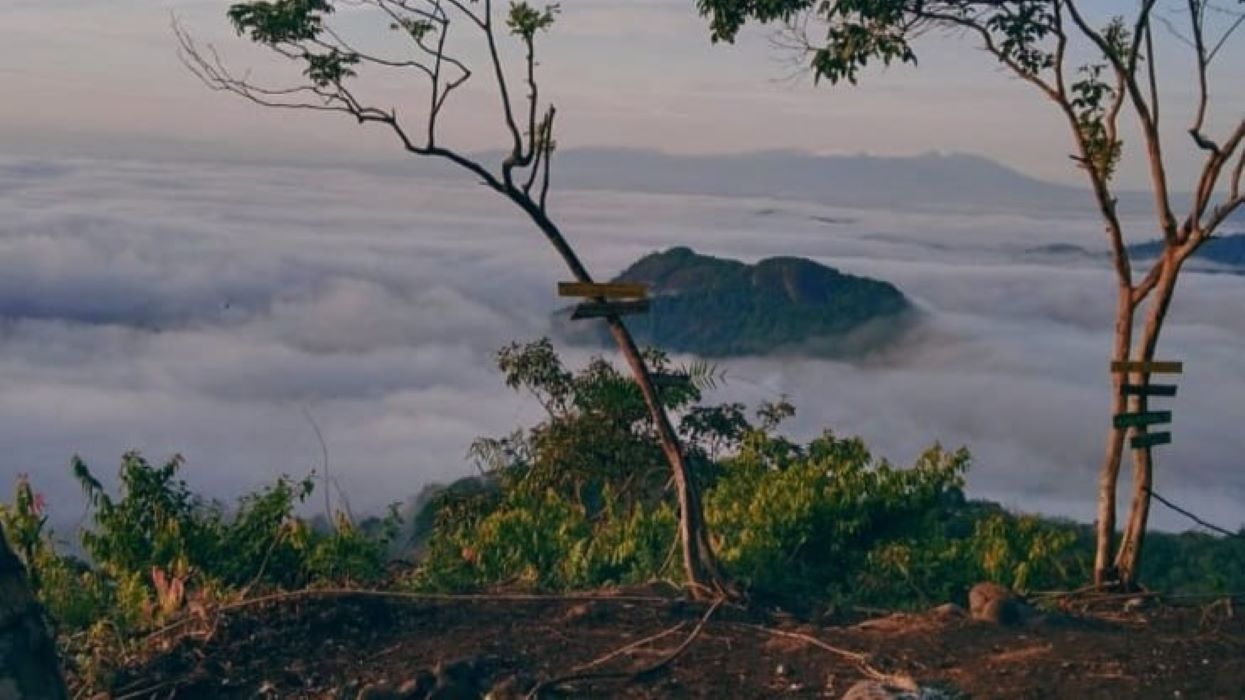 Negeri di Atas Awan Ada di Musi Rawas, ini Penampakannya, Namanya Bukit Gatan, Cocok untuk Tahun Baru 2024