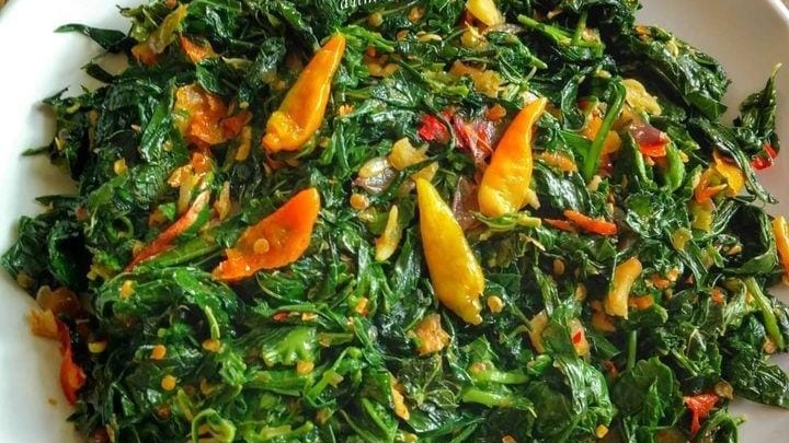 Resep Masakan Daun Singkong, Mudah dan Enak, Auto Bikin Nambah Nasi