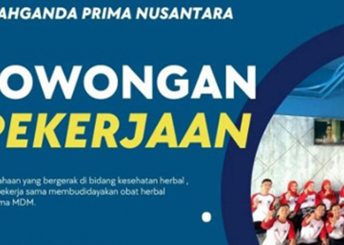 Lowongan Kerja di PT Sahganda Prima Nusantara Lubuk Linggau, Banyak Benefit yang Didapatkan