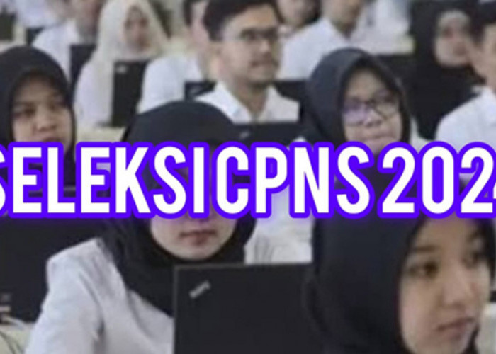 Jadi Satu-Satunya Peserta SKB CPNS 2024, Apakah Otomatis Lulus Seleksi ?