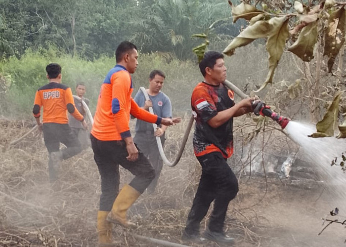 Respon Cepat BPBD Musi Rawas, Kebakaran Lahan di Muara Beliti Berhasil Dipadamkan