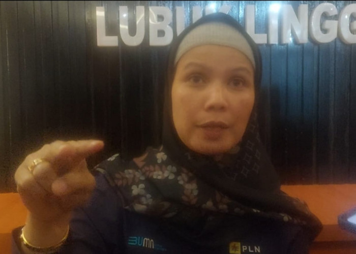 Didemo, Manajer UP3 PLN Lubuk Linggau Malah Bilang Ajang Perkenalan