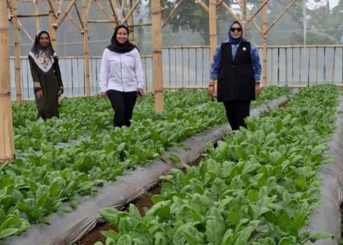 Limbah Menjadi Sumber Penghidupan, Perempuan Nasabah PNM Mekaar di Bandung Barat Kembangkan Usaha 