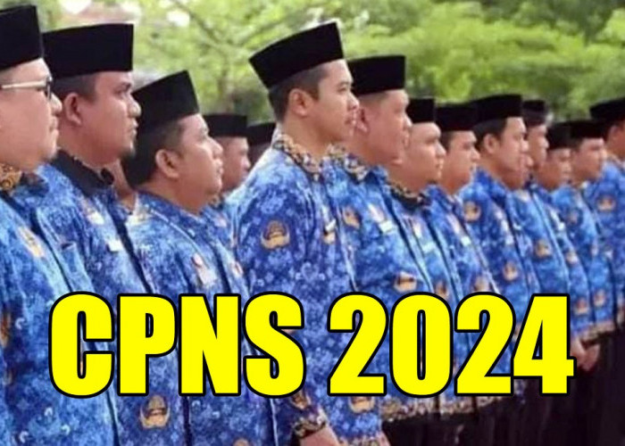 CPNS 2024, Inilah Daftar 5 Instansi dengan Tunjangan Tertinggi, Adakah Incaran Kamu?