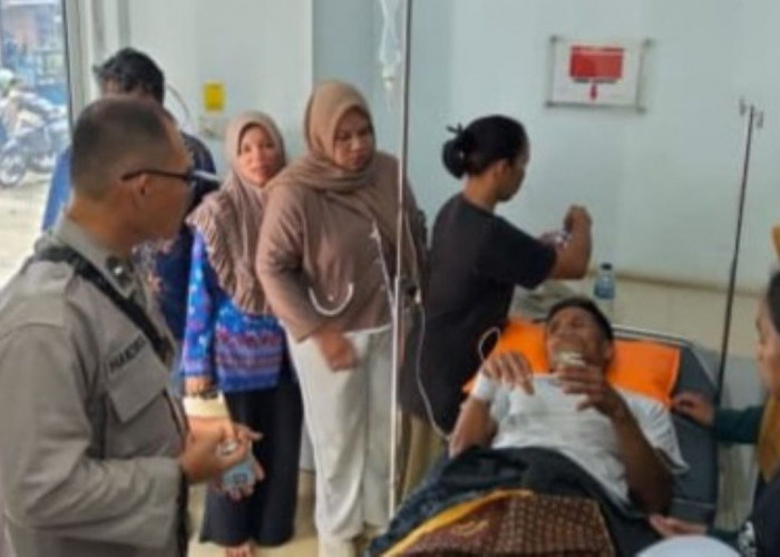Pencari Rumput Diserang Buaya di Megang Sakti Musi Rawas, Lawan Pakai Arit, Luka Paha dan Perut