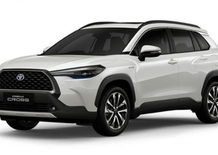 Mobil Hybrid Boros BBM? Ini Penyebabnya!