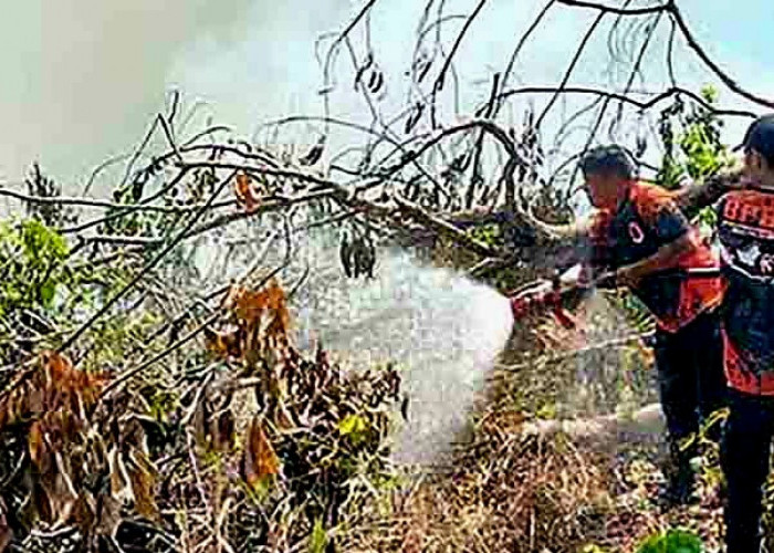 Daftar 6 Kecamatan di Musi Rawas Sangat Rawan Karhutla, BPBD Siagakan Personil dan Peralatan