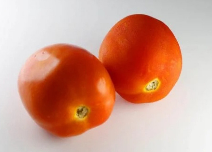 Kenali 7 Manfaat Rutin Makan Tomat untuk Kesehatan Tubuh