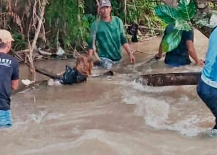 Pembunuhan Ibu Mertua di Empat Lawang Dipicu Konflik Pembagian Hasil Kopi, Pelaku Ditangkap di Lubuk Linggau