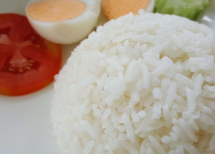  Cek Fakta: Nasi Dingin dan Nasi Panas, Mana yang Lebih Aman Dikonsumsi, Begini Penjelasan Dokter