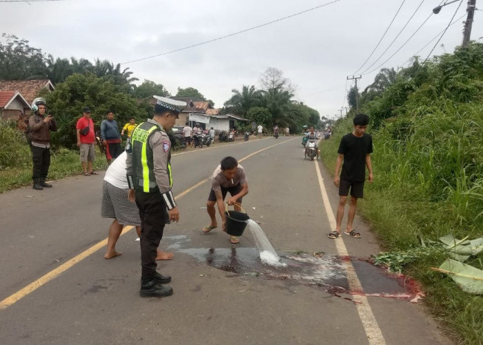 Berangkat Sekolah Pelajar SMA Negeri 1 Muara Beliti Tewas, Jadi Korban Tabrak Lari Karena Hindari Lobang