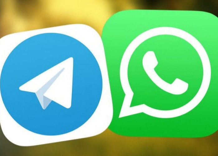 Whatsapp Down Langsung Jadi Trending Topik di Twitter, Pengguna Beralih ke Telegram