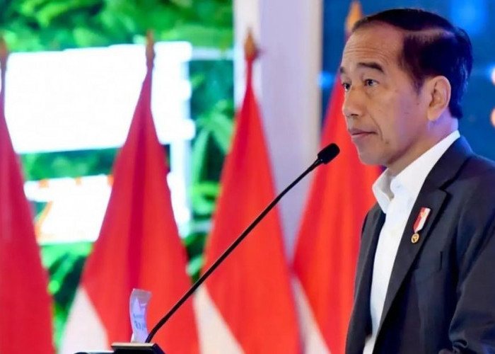 Wadaw Jokowi Dikritik Anggota Komite HAM PBB, Pertanyakan Hal Ini, Perwakilan Indonesia: Tidak Menjawab