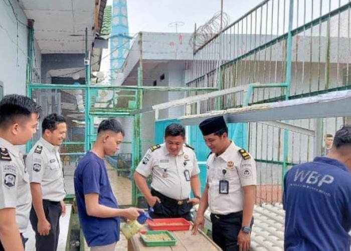Dukung Ketahanan Pangan, Giatja Lapas Narkotika Muara Beliti Laksanakan Penyemaian Bibit Pakcoy Secara Berkala