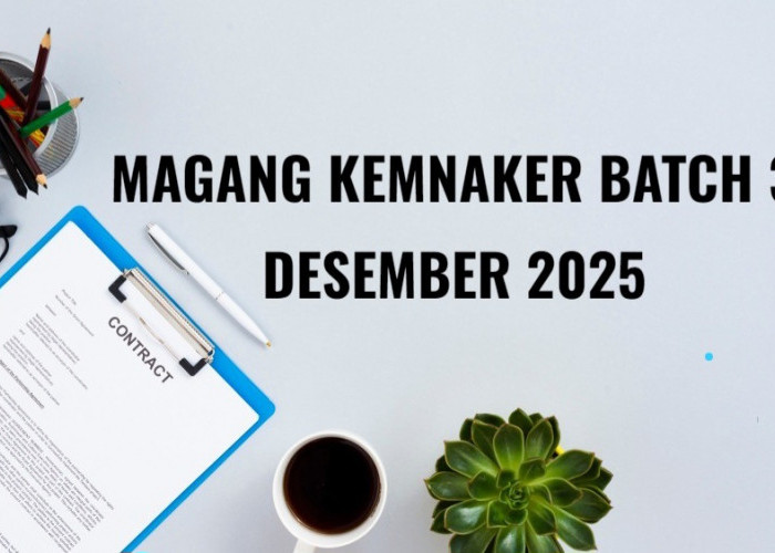 Magang Kemnaker Batch 3 Buka Desember 2025, Catat Jadwal dan Syaratnya