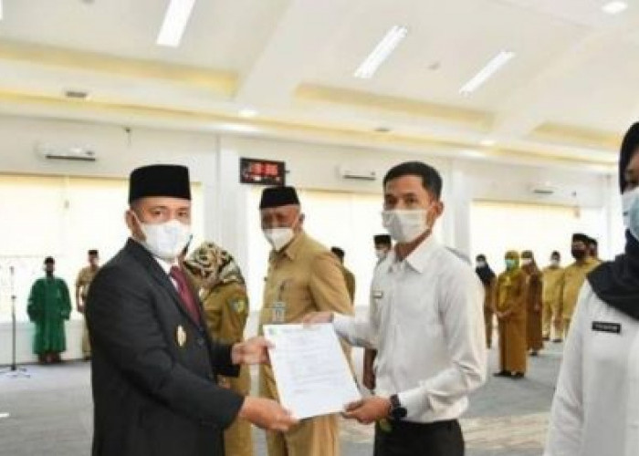 Daftar Formasi Jabatan CPNS 2024 untuk Lulusan S1 Pendidikan