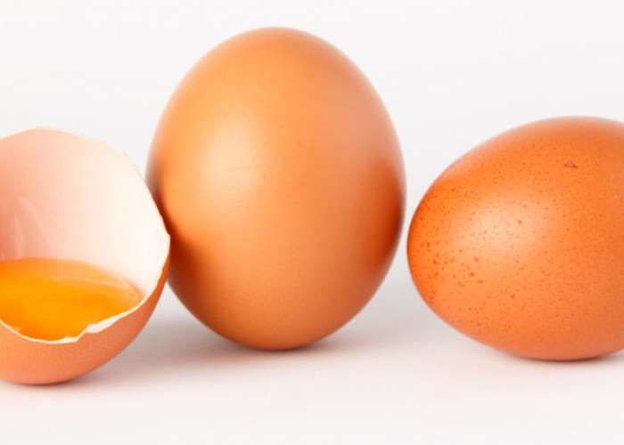 9 Manfaat Telur Ayam yang Bisa Bikin Gagah Perkasa, Ini Kandungan Gizinya