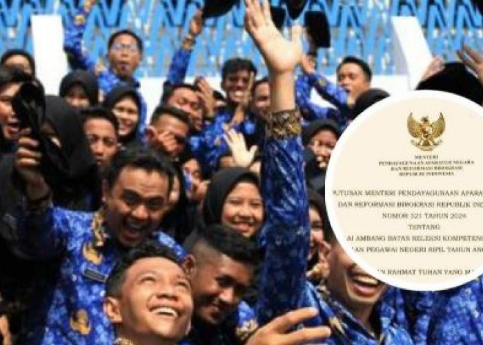 Daftar Instansi dan Formasi Daerah Favorit CPNS 2024 ini Peluang dan Tantangannya