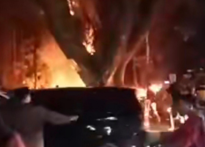 Viral! Pohon Jebluk Icon Kota Parung Terbakar, Netizen: Awas Setannya Ngamuk!