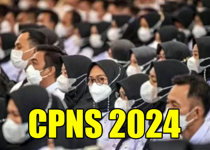 Jadwal dan Cara Cek Pengumuman Kelulusan SKD CPNS 2024, Buruan Simak!