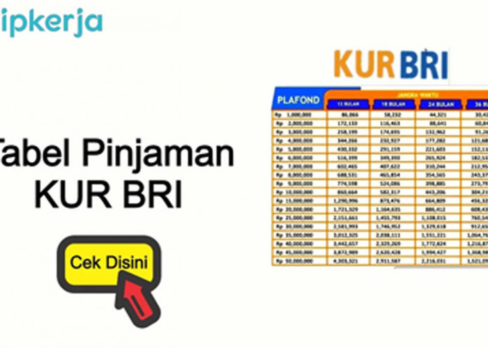 Pinjaman KUR BRI Kian Diminati Calon Debitur Kayuagung, Ini Alasannya