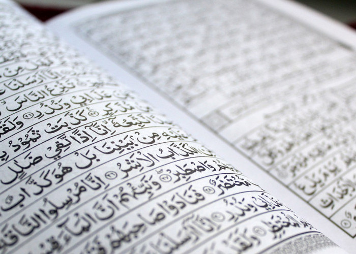 MUI Kecam Pembakaran Al Quran di Swedia Saat Umat Islam Sedunia Rayakan Idul Adha