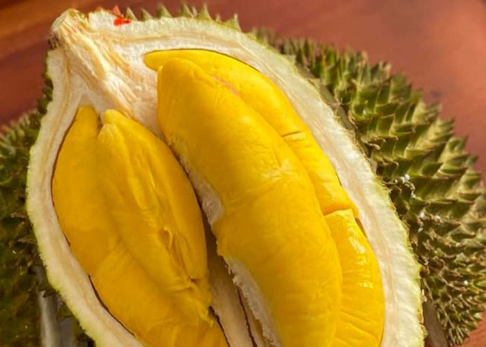 Perhatikan! Ini Batas Aman Mengonsumsi Durian Menurut Ahli Gizi, Cek Juga 4 Manfaatnya Bagi Tubuh