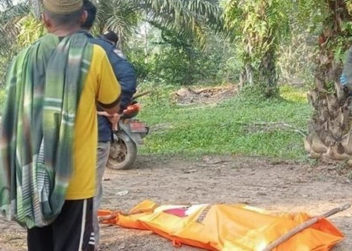 Geger, Wanita di Batanghari Jambi Ditemukan Terkubur di Kebun Sawit, Diduga Ulah Suami