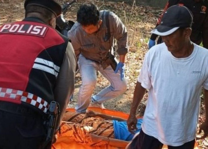 Heboh, Pemuda di Lahat Ditemukan Tewas Tergantung di Pohon Jengkol 