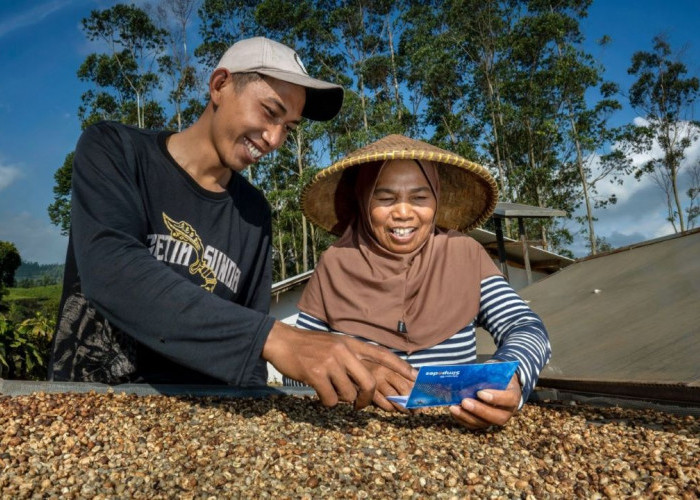 Kualitas Aset Semakin Baik, Intip Strategi BRI Turunkan Rasio Kredit Bermasalah