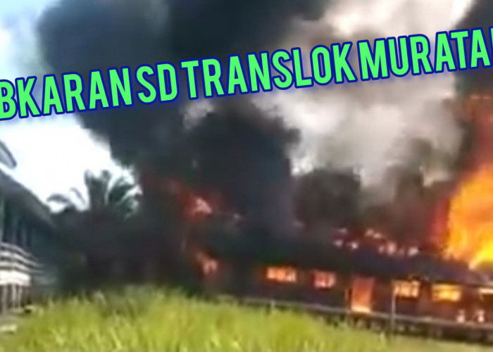 BREAKING NEWS: Bangunan SD Translok di Muratara Terbakar