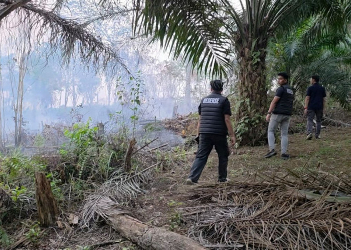 Bakar Lahan 1 Hektar di Belalau, Petani di Lubuk Linggau Ditangkap Polisi