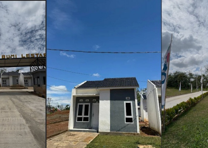 Lowongan Kerja Terbaru di Griya Bumi Lestari Lubuk Linggau, Berikut Persyaratan dan Benefitnya di Sini