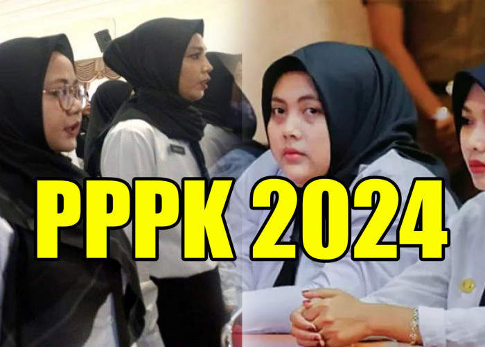 Lulus Seleksi PPPK 2024 Apa Tahapan Selanjutnya, Simak Ini yang Harus Dilakukan