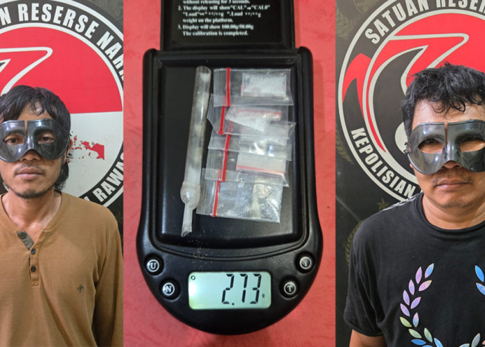 Tim Elang Musi Bekuk 2 Pengedar Sabu di Areal Perkebunan Sawit Musi Rawas 