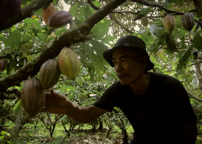 Dari Potensi Lokal ke Prestasi Nasional, Desa BRILiaN Sausu Tambu Perkuat Ekonomi Pesisir