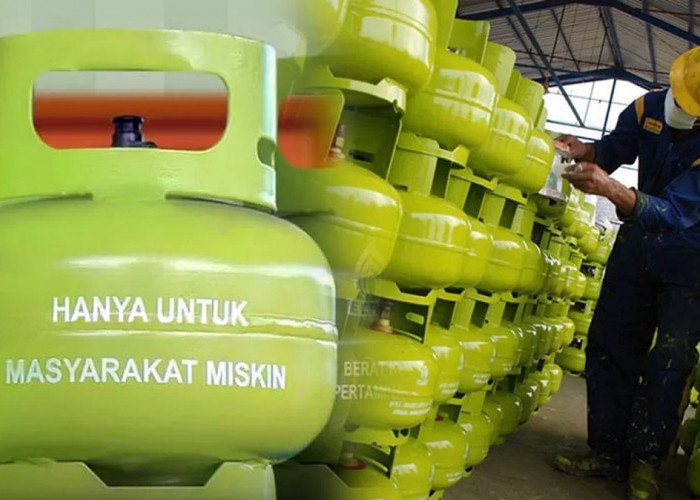 MUI Haramkan Orang Kaya Gunakan LPG 3 Kg, Ini Alasan Detailnya