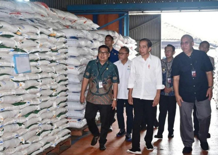 Jokowi Blak-Blakan Soal Biang Kerok Kenaikan Harga Beras Melonjak